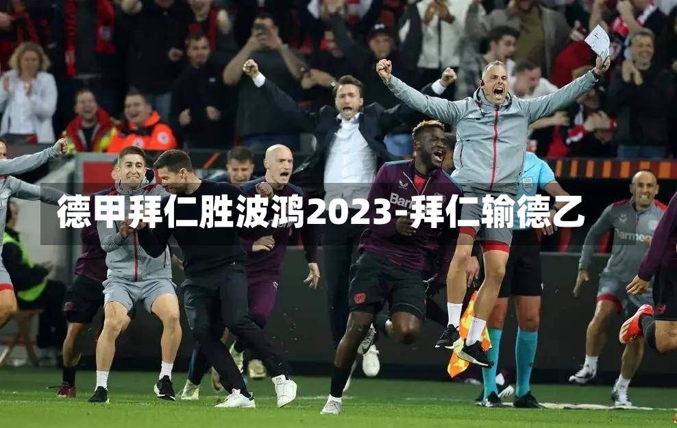 德甲拜仁胜波鸿2023-拜仁输德乙